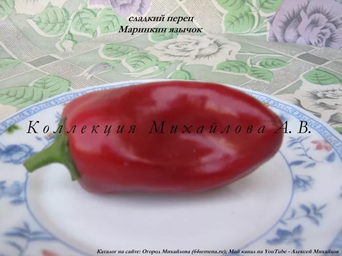 marinkin-yazychok-3-180404