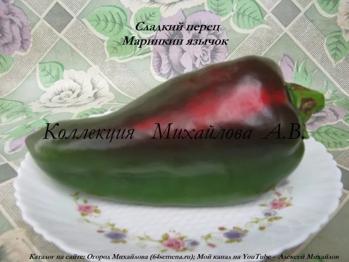 marinkin-yazychok-5-180404