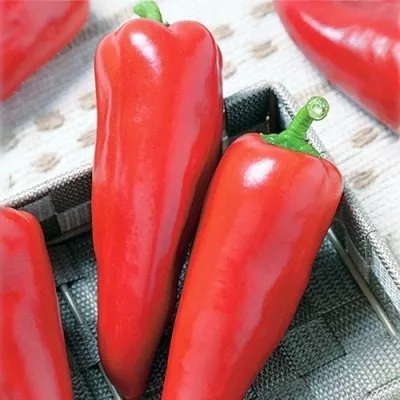 marinkin-yazychok-7-180404