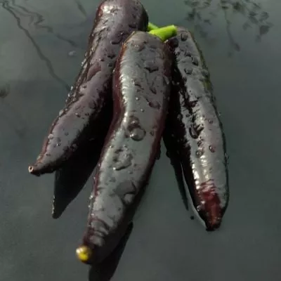 markoni-fioletovyy-12-186101