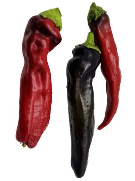 markoni-fioletovyy-5-186101