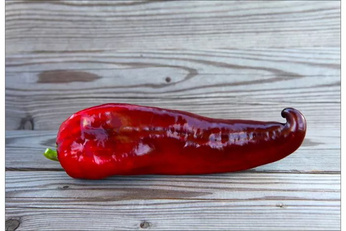 markoni-gigant-8-190720