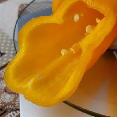 markoni-zolotoy-10-180204