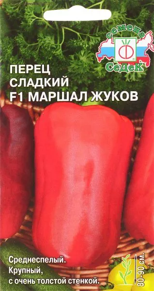 marshal-zhukov-1-182544