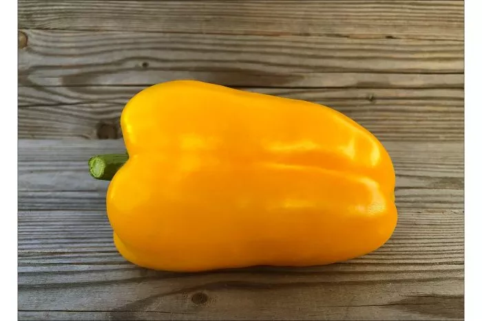 marta-polka-7-185545