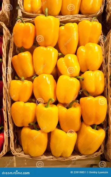 marta-polka-9-185545