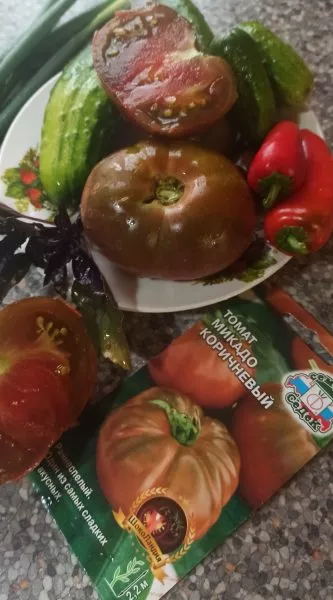 mikado-korichnevyy-1-174314