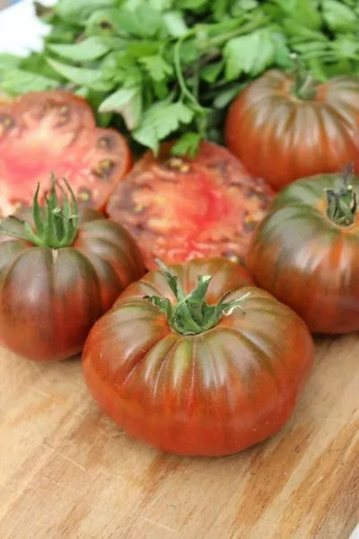 mikado-korichnevyy-main-174314