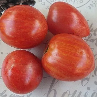 milya-lunnogo-sveta-10-171402