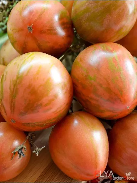 milya-lunnogo-sveta-2-171402