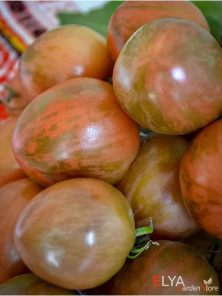 milya-lunnogo-sveta-3-171402