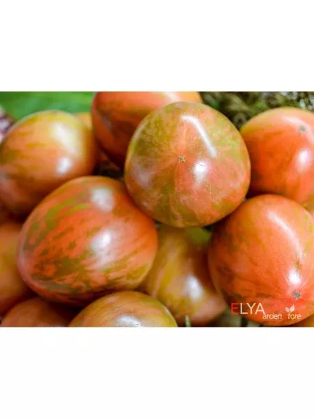 milya-lunnogo-sveta-4-171402