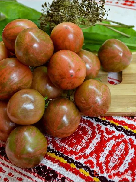 milya-lunnogo-sveta-5-171402