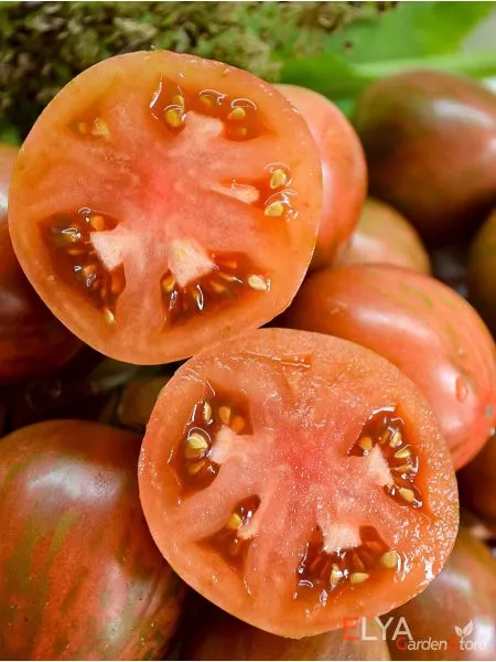 milya-lunnogo-sveta-6-171402