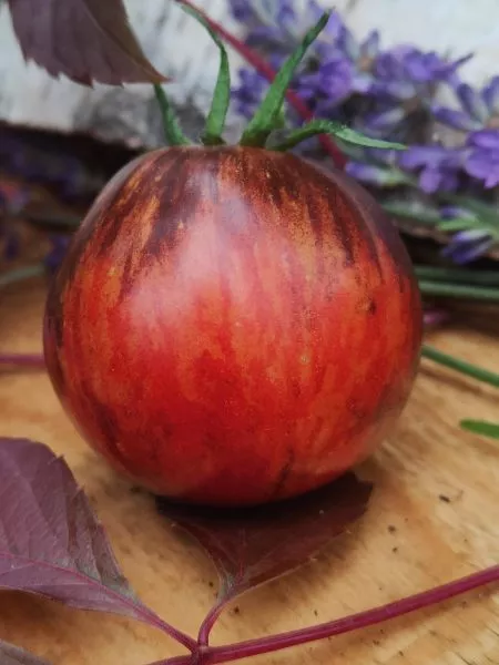 milya-lunnogo-sveta-7-171402