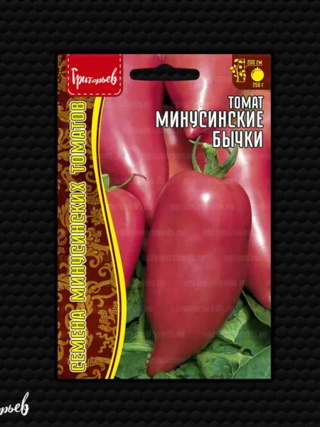 minusinskie-bychki-1-172869