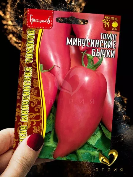 minusinskie-bychki-4-172869