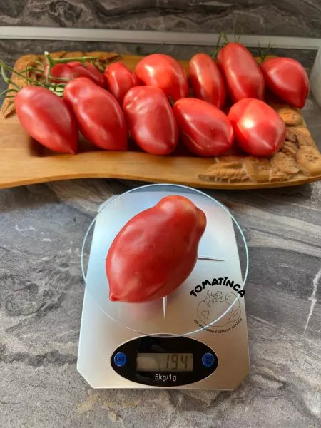 minusinskie-bychki-8-172869