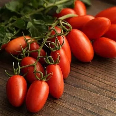 miss-freni-main-176913