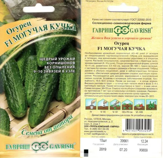 moguchaya-kuchka-1-198281