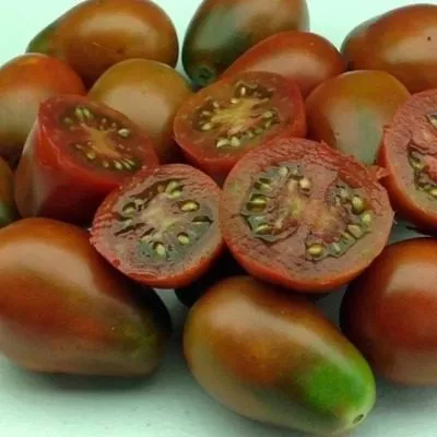 monisto-izumrudnoe-5-171950