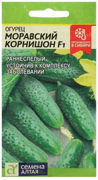 moravskiy-kornishon-2-192556