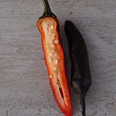 murasaki-togarashi-yamato-7-188892