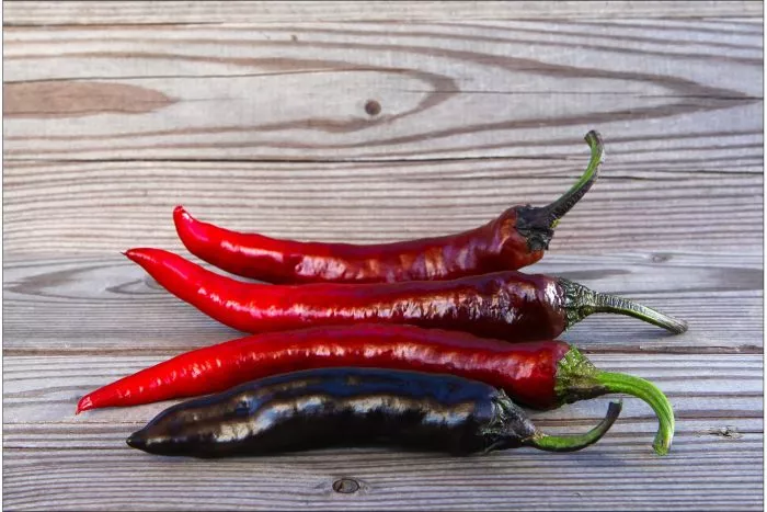 murasaki-togarashi-yamato-main-188892