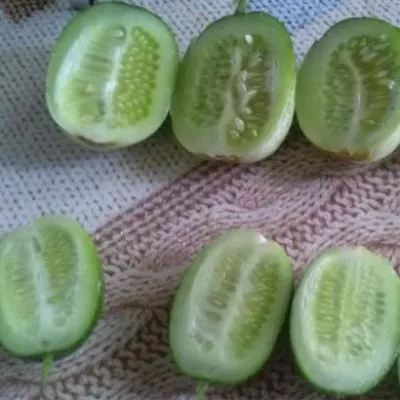 muromskiy-36-8-198260