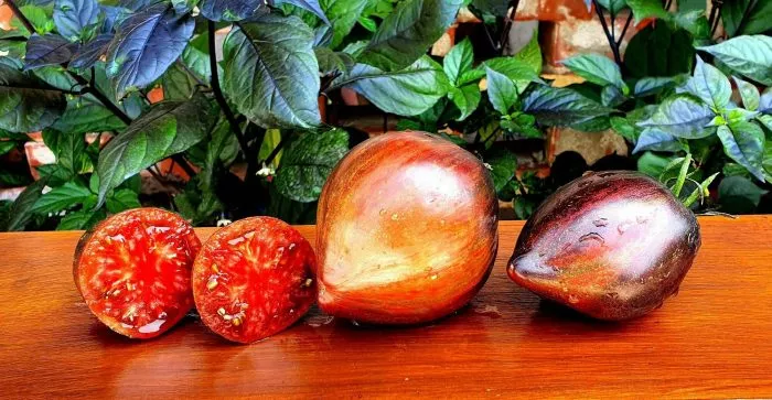 myatezhnyy-zvezdnyy-istrebitel-praym-1-168940