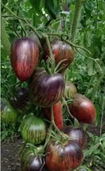 myatezhnyy-zvezdnyy-istrebitel-praym-4-168940