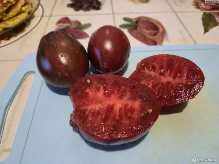 myatezhnyy-zvezdnyy-istrebitel-praym-7-168940