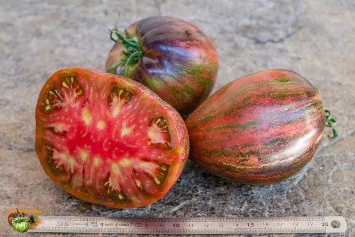 myatezhnyy-zvezdnyy-istrebitel-praym-main-168940