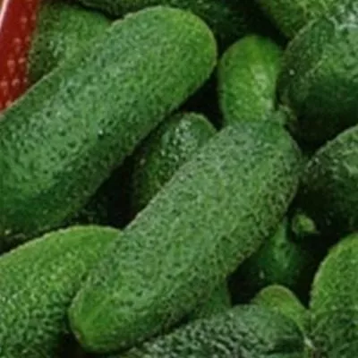 nastya-na-schaste-3-200403