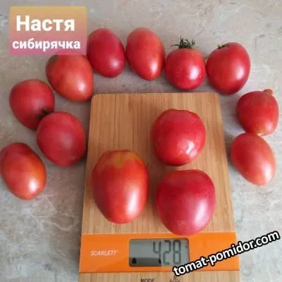 nastya-sibiryachka-6-171806