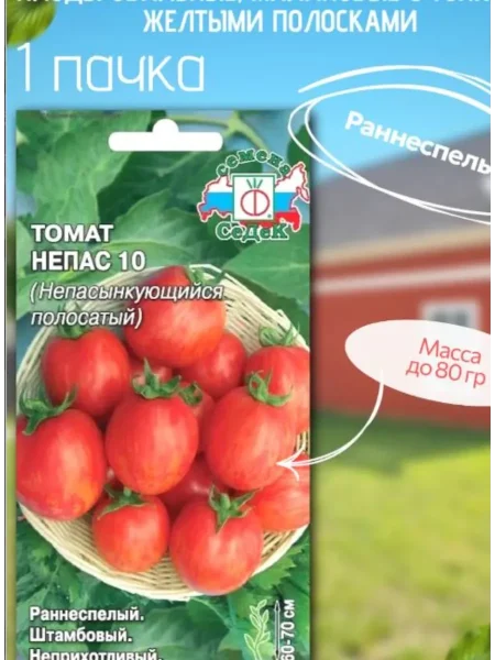 nepas-10-nepasynkuyuschiysya-polosatyy-2-171396