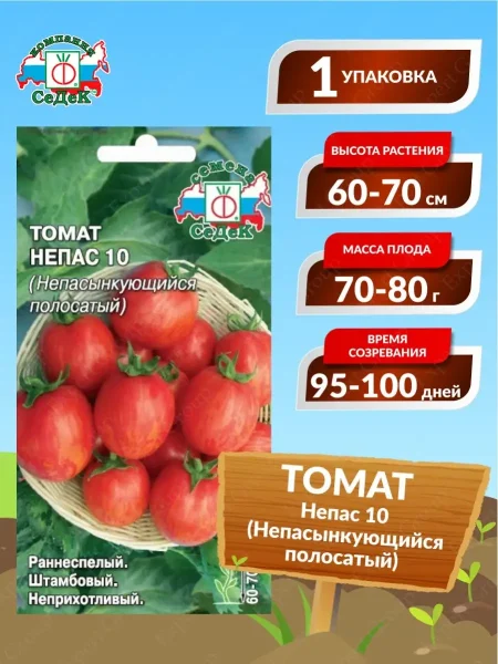 nepas-10-nepasynkuyuschiysya-polosatyy-3-171396