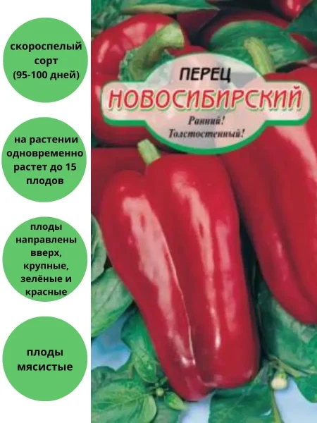 novosibirskiy-1-187299