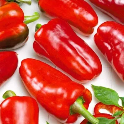 novosibirskiy-6-187299