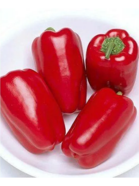 novosibirskiy-main-187299