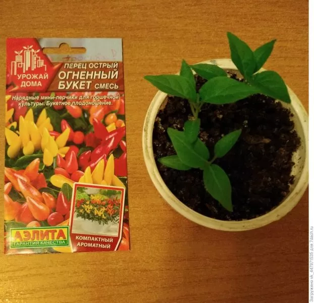 ognennyy-buket-smes-2-180523