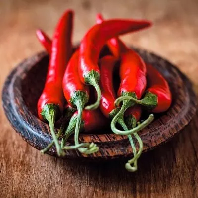 ognennyy-drakon-5-187059