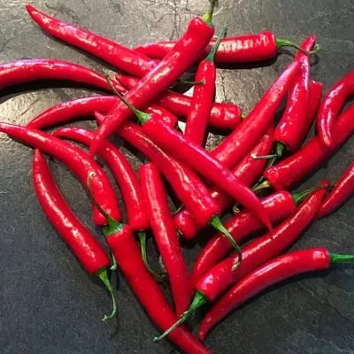 ognennyy-drakon-6-187059