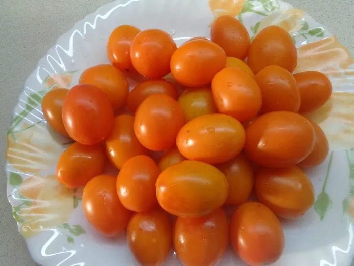 oranzhevye-slivki-3-170355