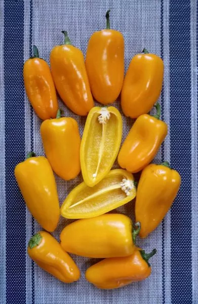 oranzhevyy-buket-8-188104