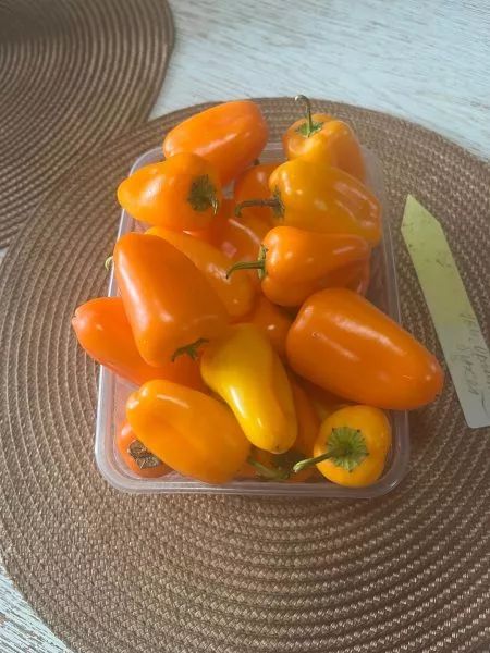 oranzhevyy-buket-main-188104