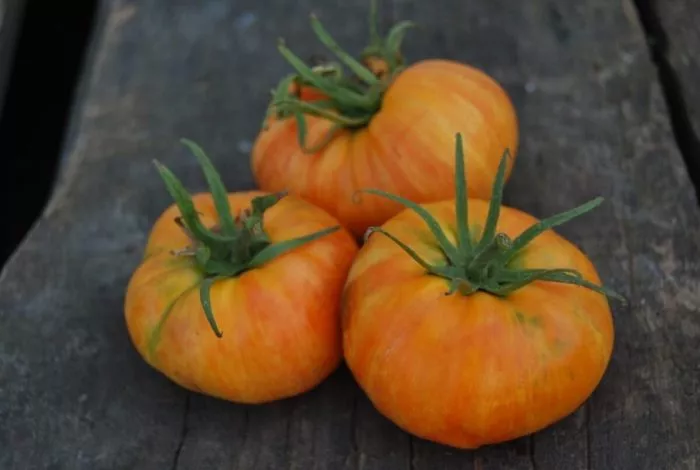 oranzhevyy-dzhaz-4-176519