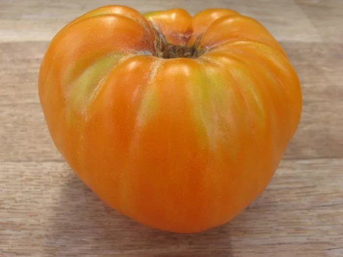 oranzhevyy-dzhaz-6-176519