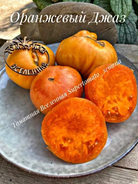 oranzhevyy-dzhaz-7-176519