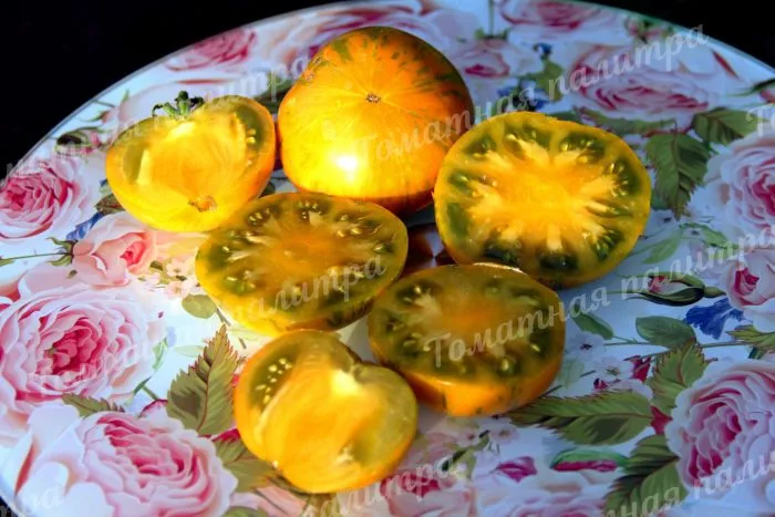 oranzhevyy-gabbana-4-175231